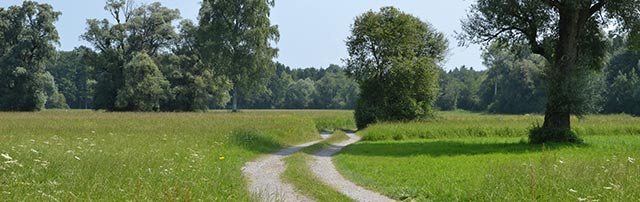 Weg verliert sich in der Ferne